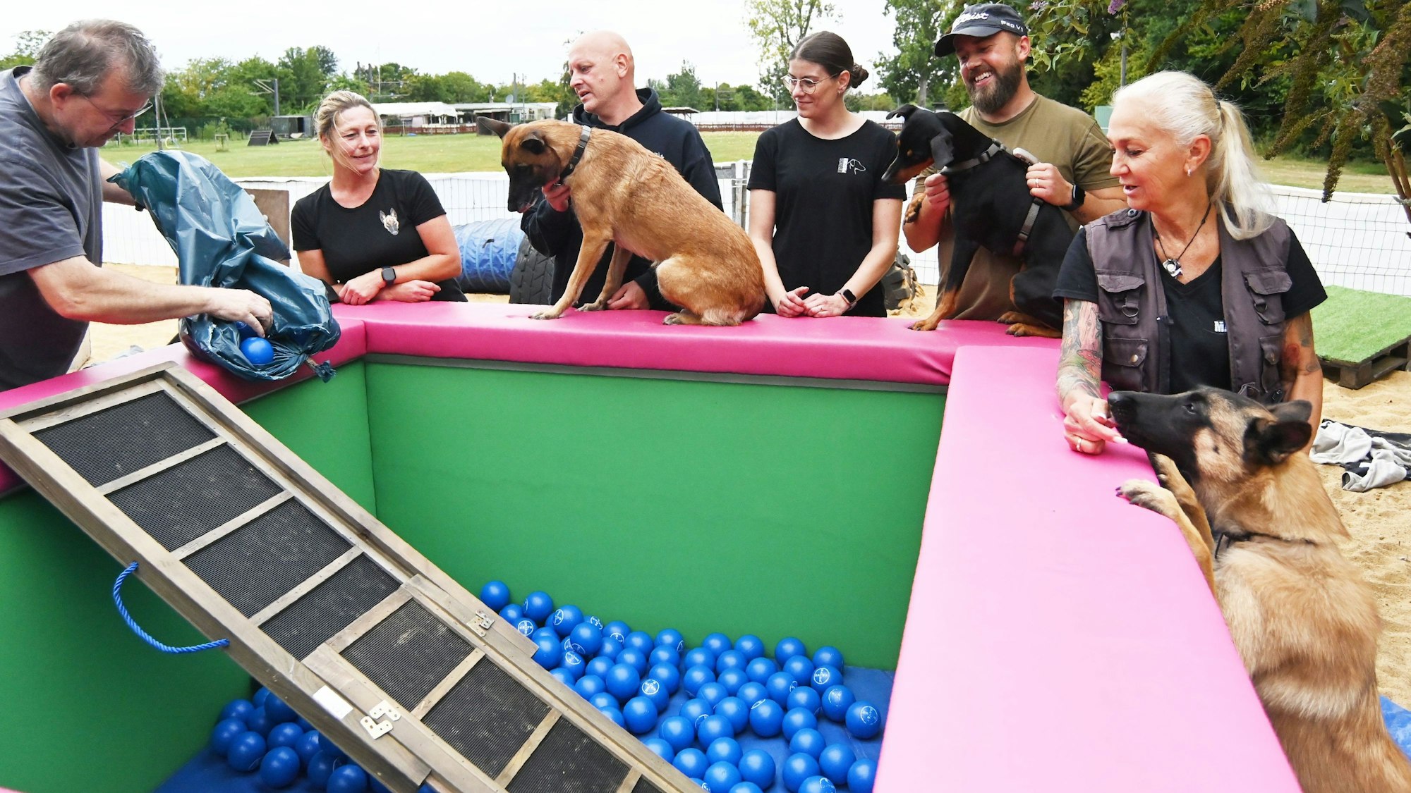 Um ein viereckiges Bassin mit pinkem Rand stehen Menschen und Hunde herum, Ein Mann füllt kleine blaue Bälle ins Becken.