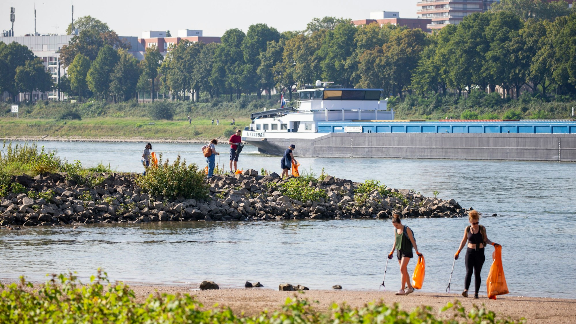 Beim Rhine Cleanup sammeln Freiwillige jährlich über eine Tonne Abfall am Rheinufer.