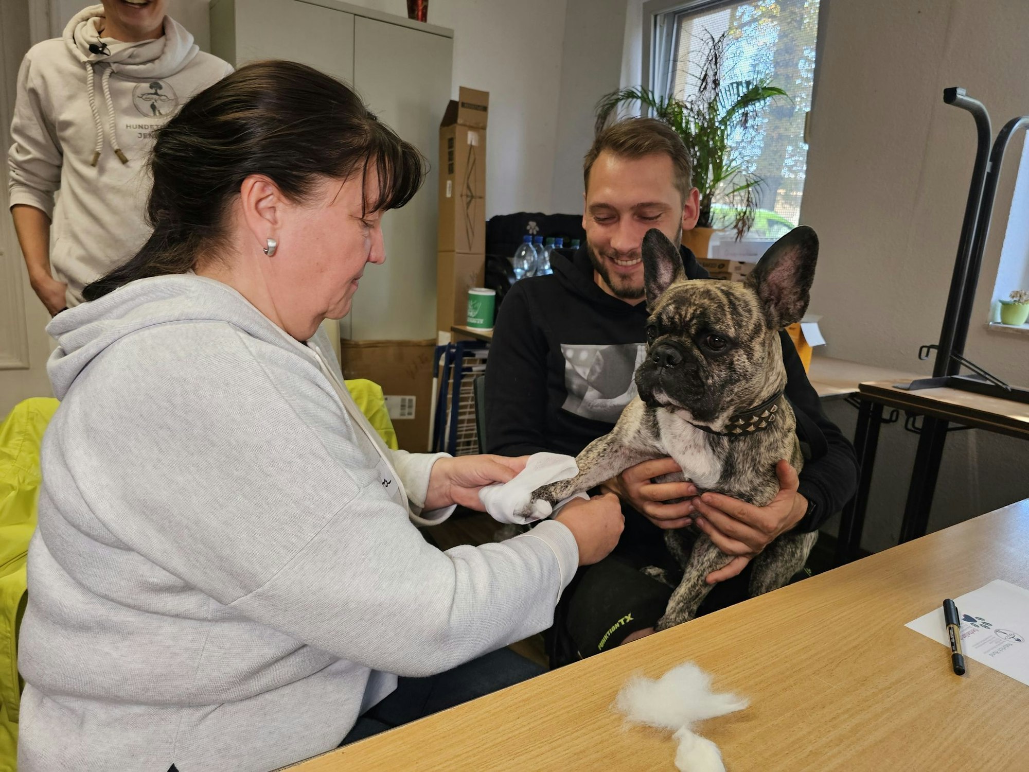 An der französischen Bulldogge «Buddy» übt eine Kursteilnehmerin das Verbinden einer Pfote.