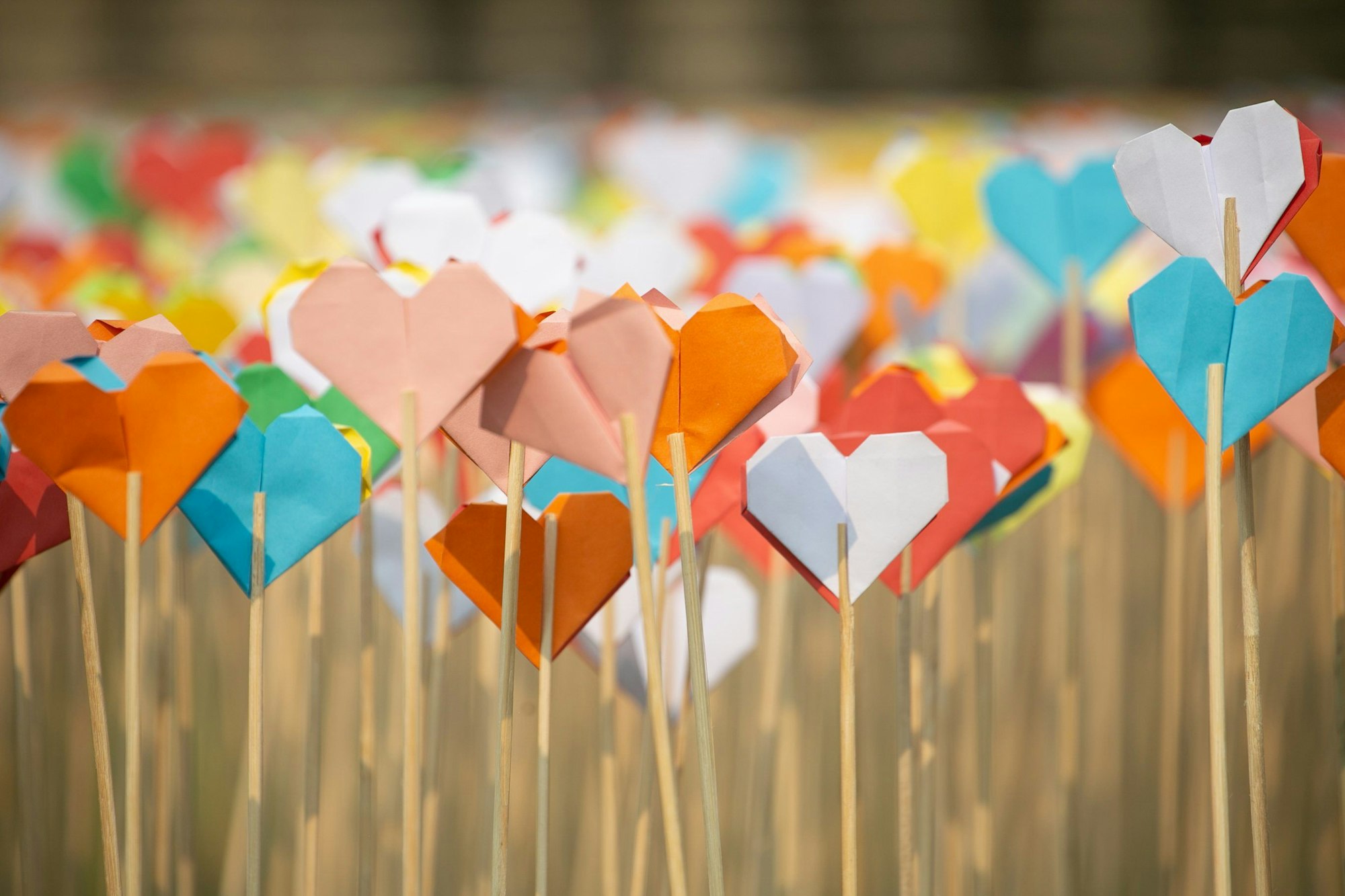 : Origami-Herzen werden im Komplex des archäologischen Parks von Angkor ausgestellt. Kambodschas Ausstellung von fast 4 Millionen Origami-Herzen wurde in das Guinness-Buch der Rekorde aufgenommen und brach damit den bisherigen Rekord