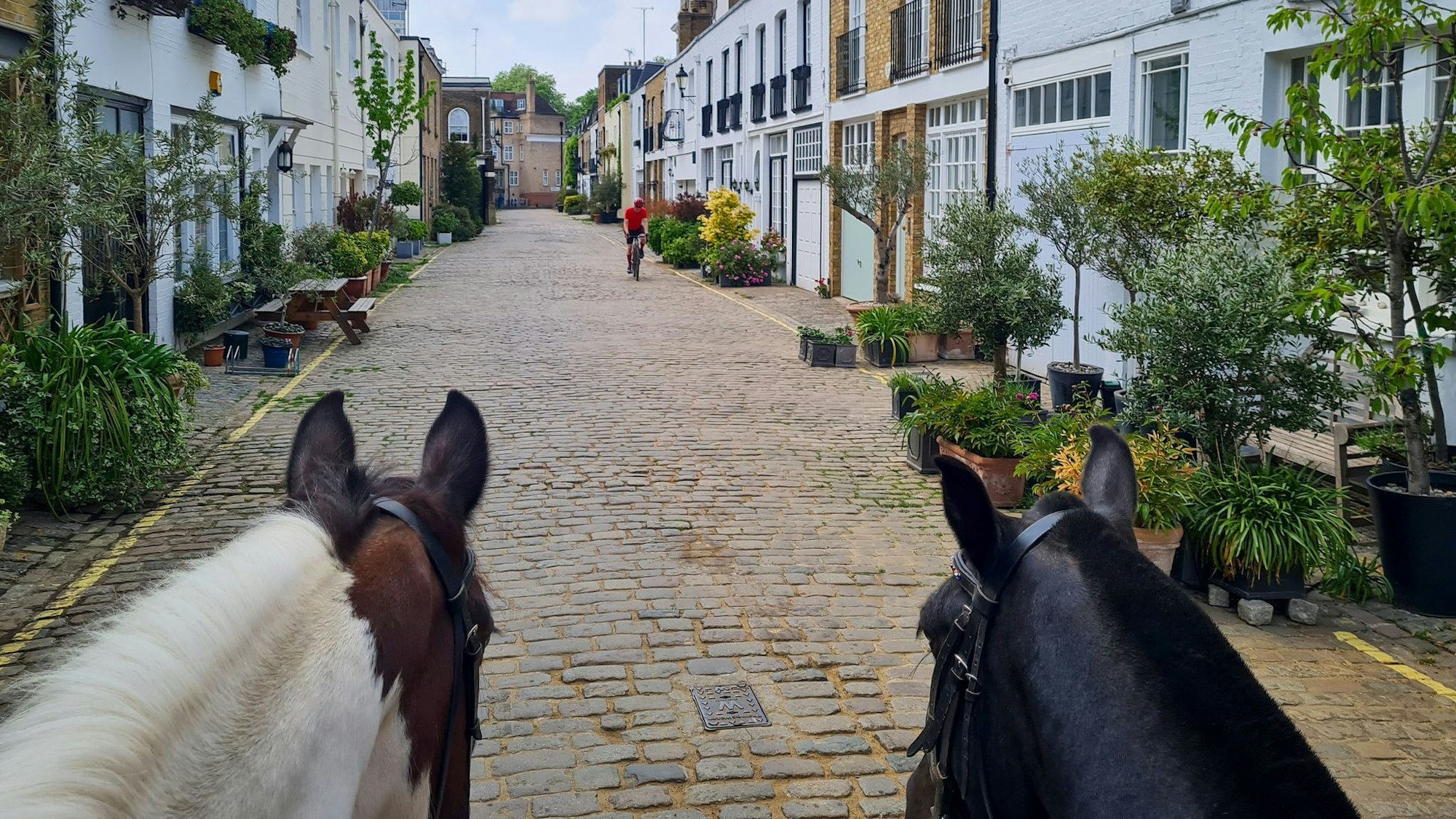 Die Hyde Park Gardens Mews: früher das Zuhause der Pferde und Bediensteten - heute gefragte Immobilien.