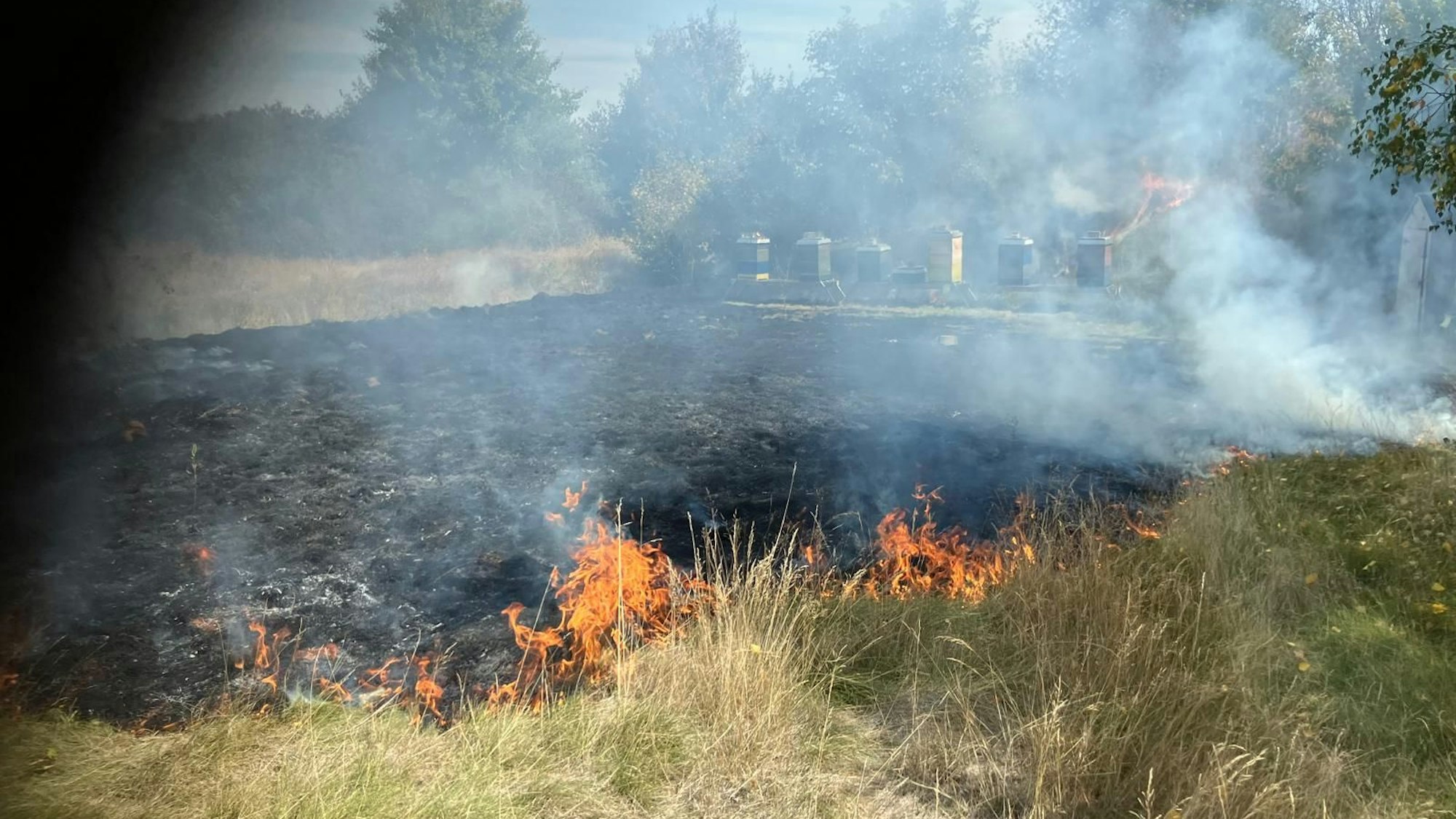 Das Feuer hatte sich rasend schnell ausgebreitet.