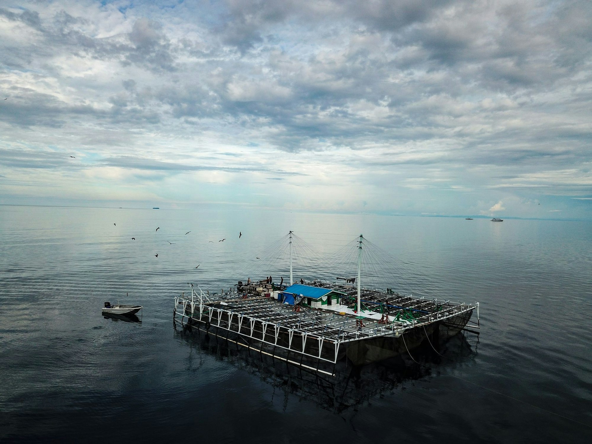 Bagans - für die Fischerei verwendete Plattformen - sind in Indonesien für viele der Verletzungen bei Walhaien verantwortlich.