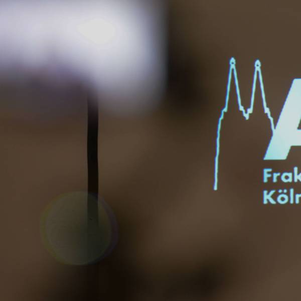 Das Bild zeigt das Logo der AfD-Fraktion in Köln. In Ehrenfeld gehen die Vertreterin und der Vertreter nun getrennte Wege. (Symbolbild)