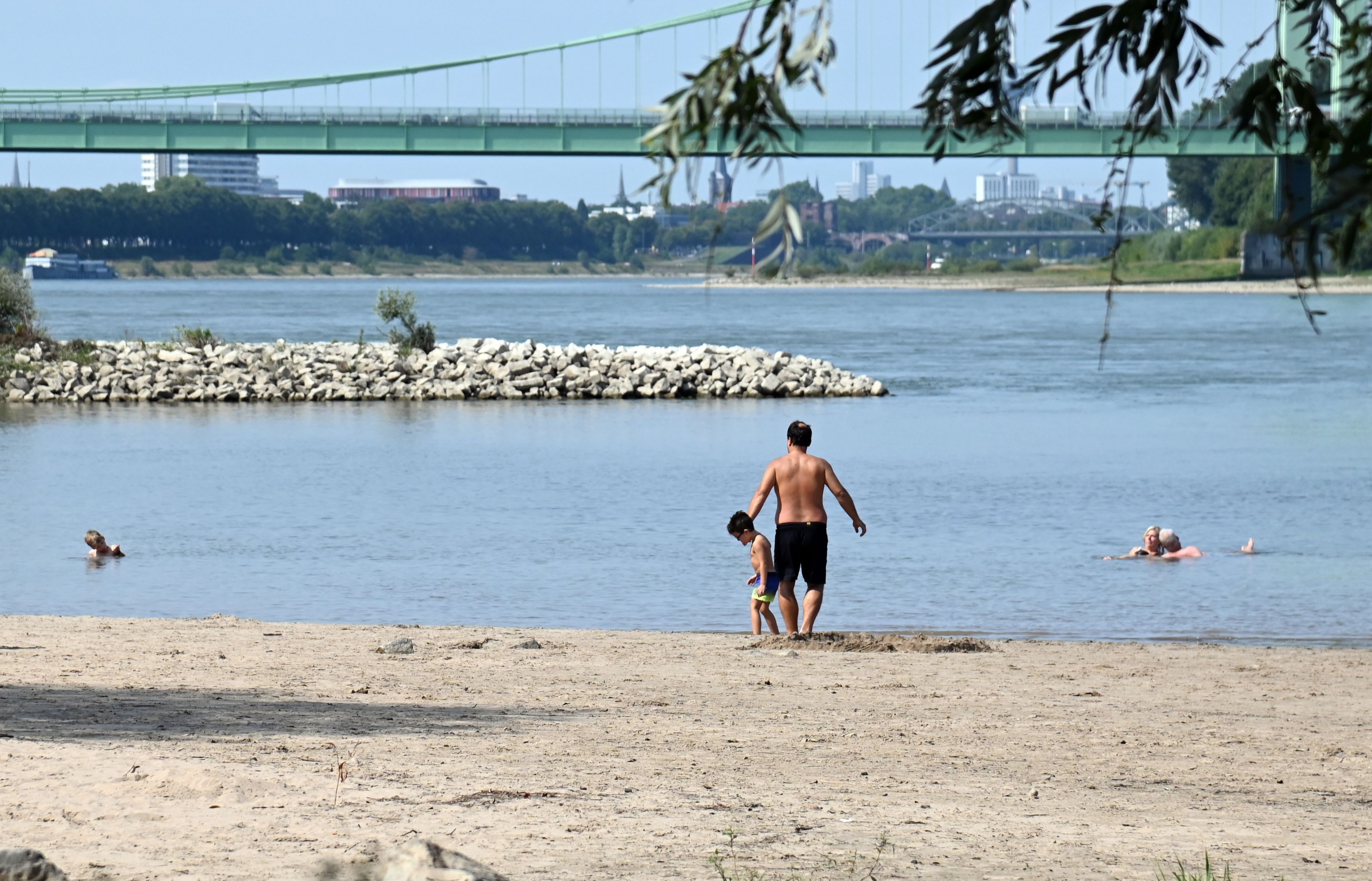 An der Rodenkirchener Riviera liegen vorigen Sommer Menschen im Rhein. Damals galt das Badeverbot noch nicht.