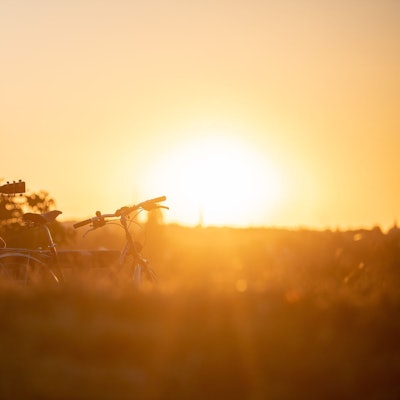 Abschied vom Sommer: Wenn die Abende kürzer werden und die Hitze sich legt, bleibt ein Gefühl von Wehmut.