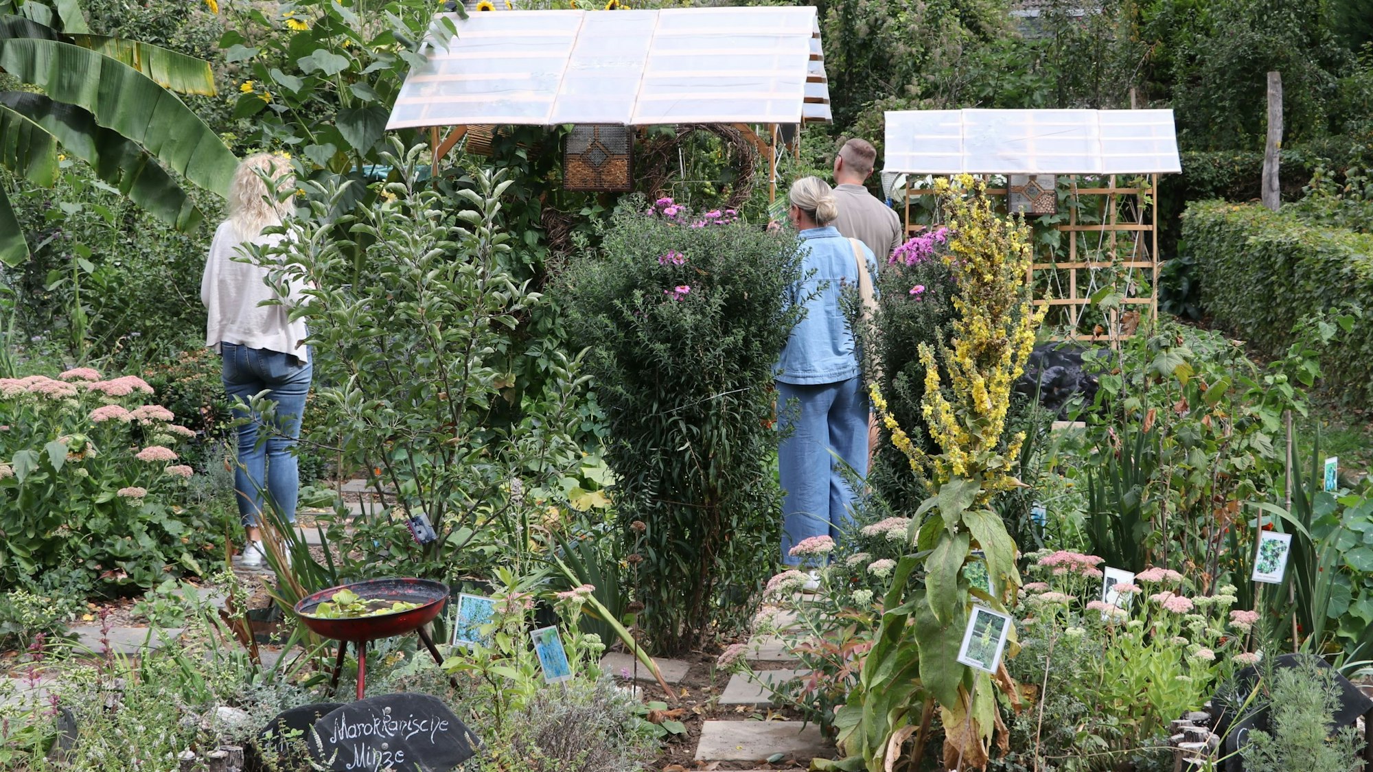 Zu sehen sind Menschen in einem Nutzgarten.