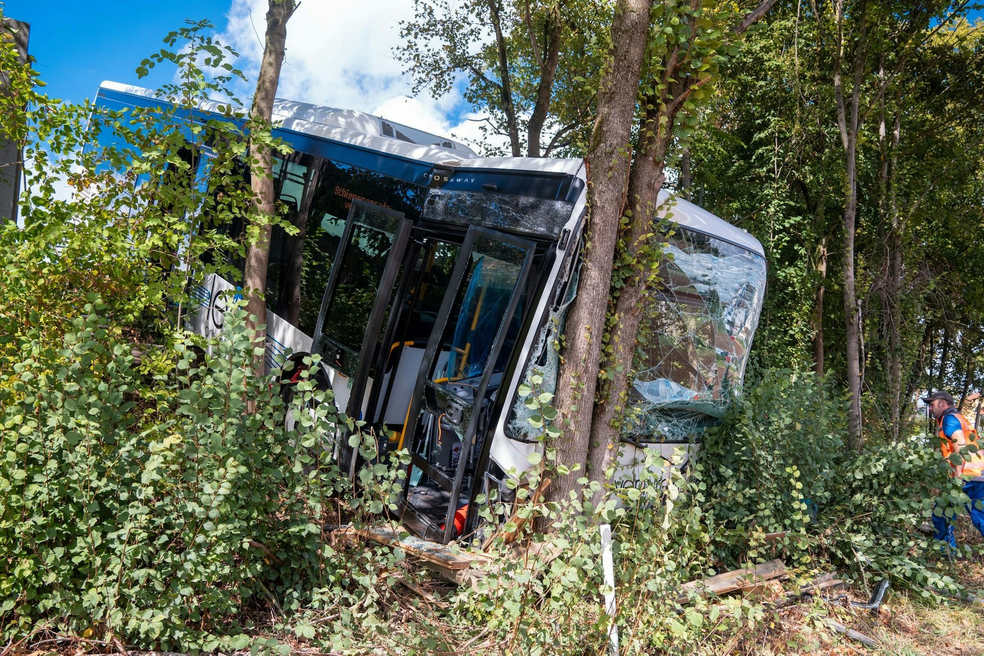 Der Bus kam nach dem Unfall erst im Gebüsch an einer steilen Böschung zum Stehen.
