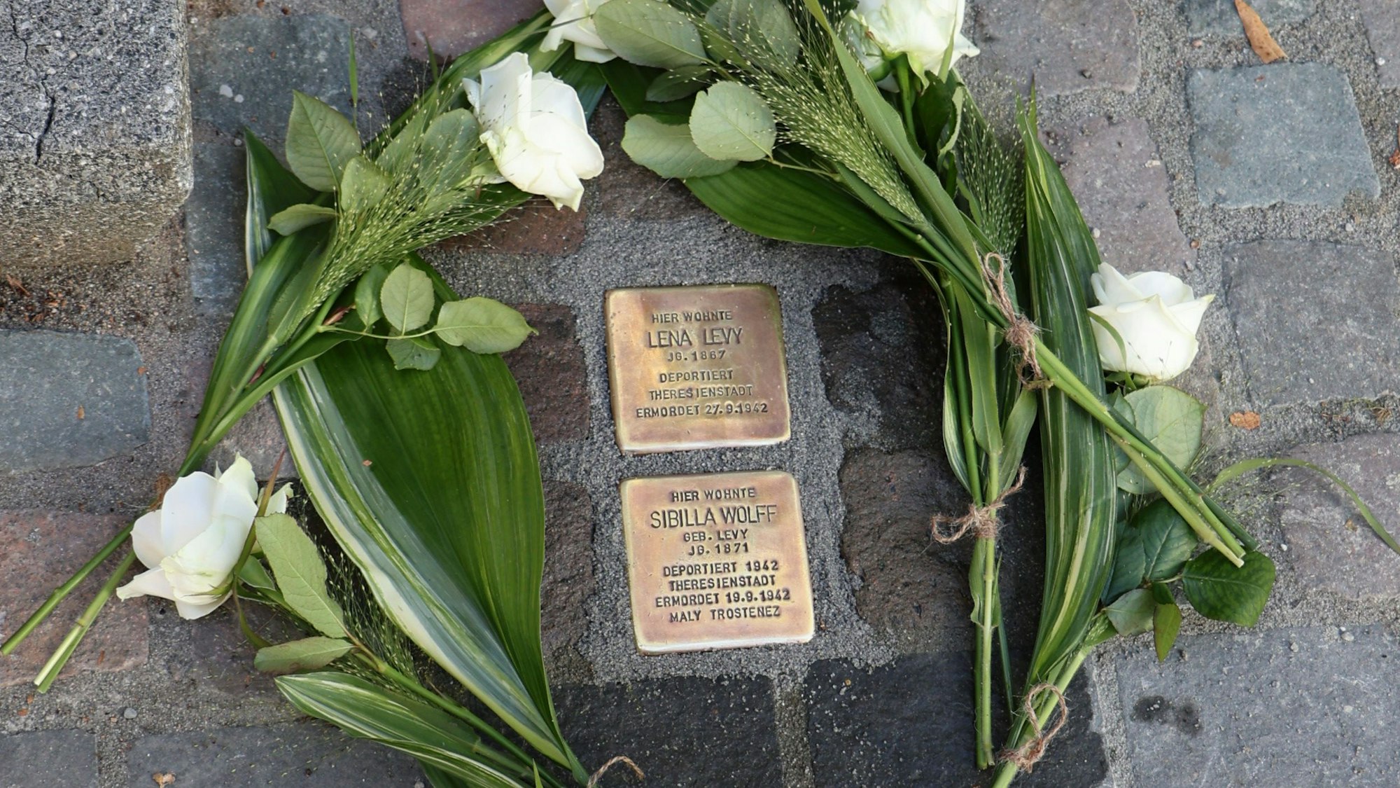 Die Stolpersteine sind von weißen Rosen eingerahmt.
