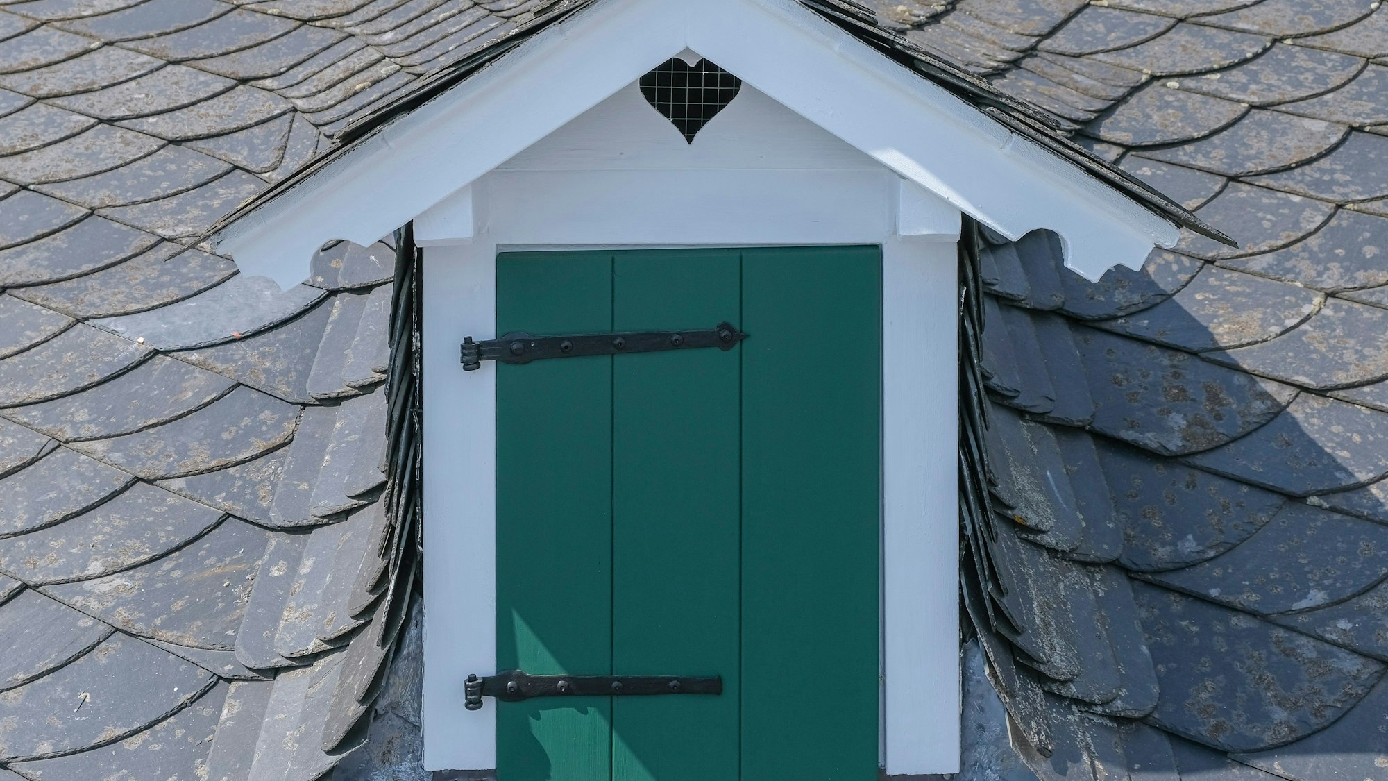 Das neue Fenster