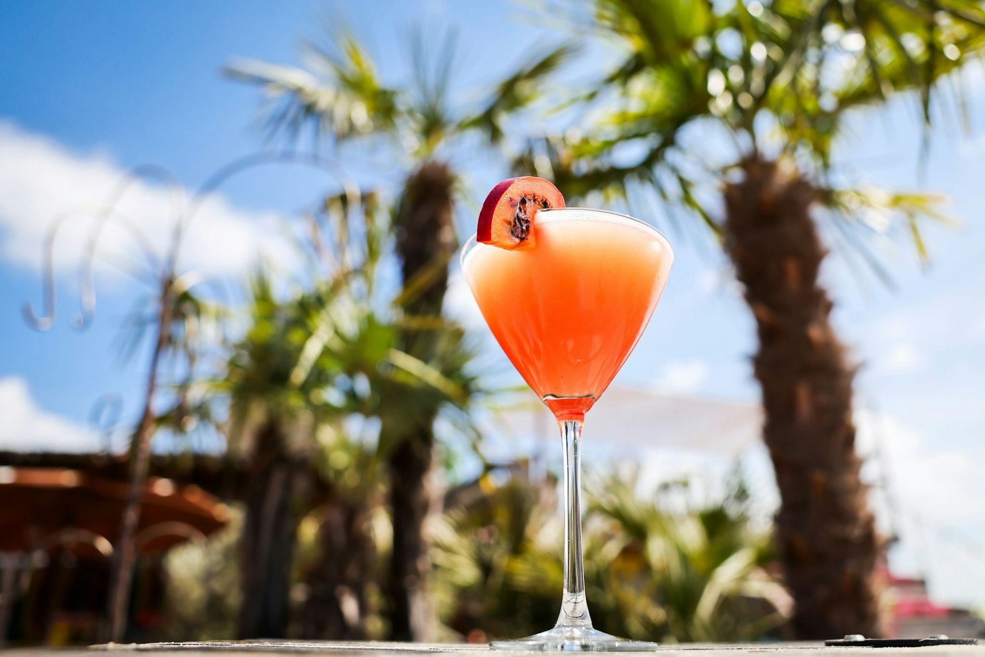 Ein Passionsfrucht Martini (Pornstar Martini oder Maverick Martini) unter Palmen am Hamburger Hafen. (Archivbild)