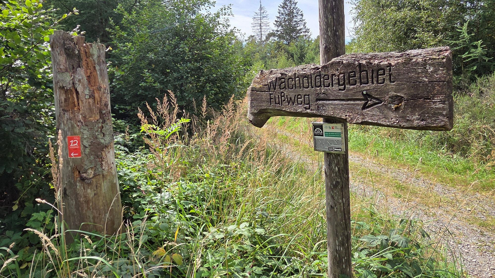 Die Wacholderheide bei Reichshof-Branscheid ist eine der vielen natürlichen Attraktionen am Rand des Bergischen Panoramasteigs.
