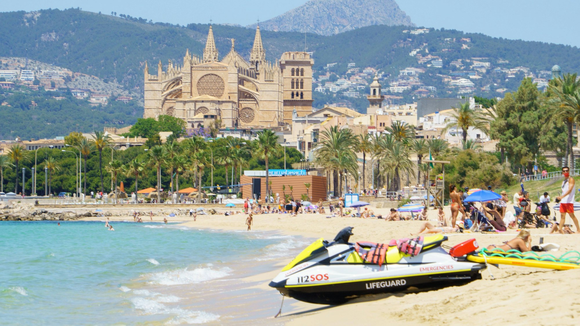 Am Strand Platja de Can Pere Antoni auf Mallorca wurde ein toter Hai mit massiver Wunde angespült. (Archivbild)