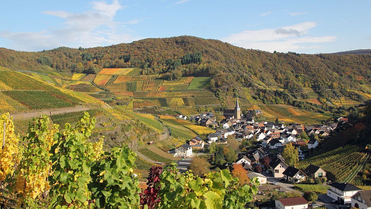 Blick auf Mayschoß vom Rotweinwanderweg (Archivbild)