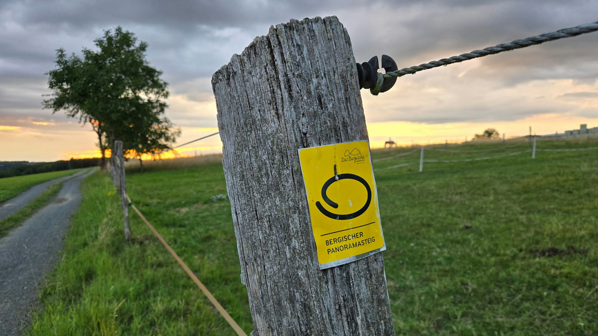 Ein Wegzeichen an einem Zahnpfahl.