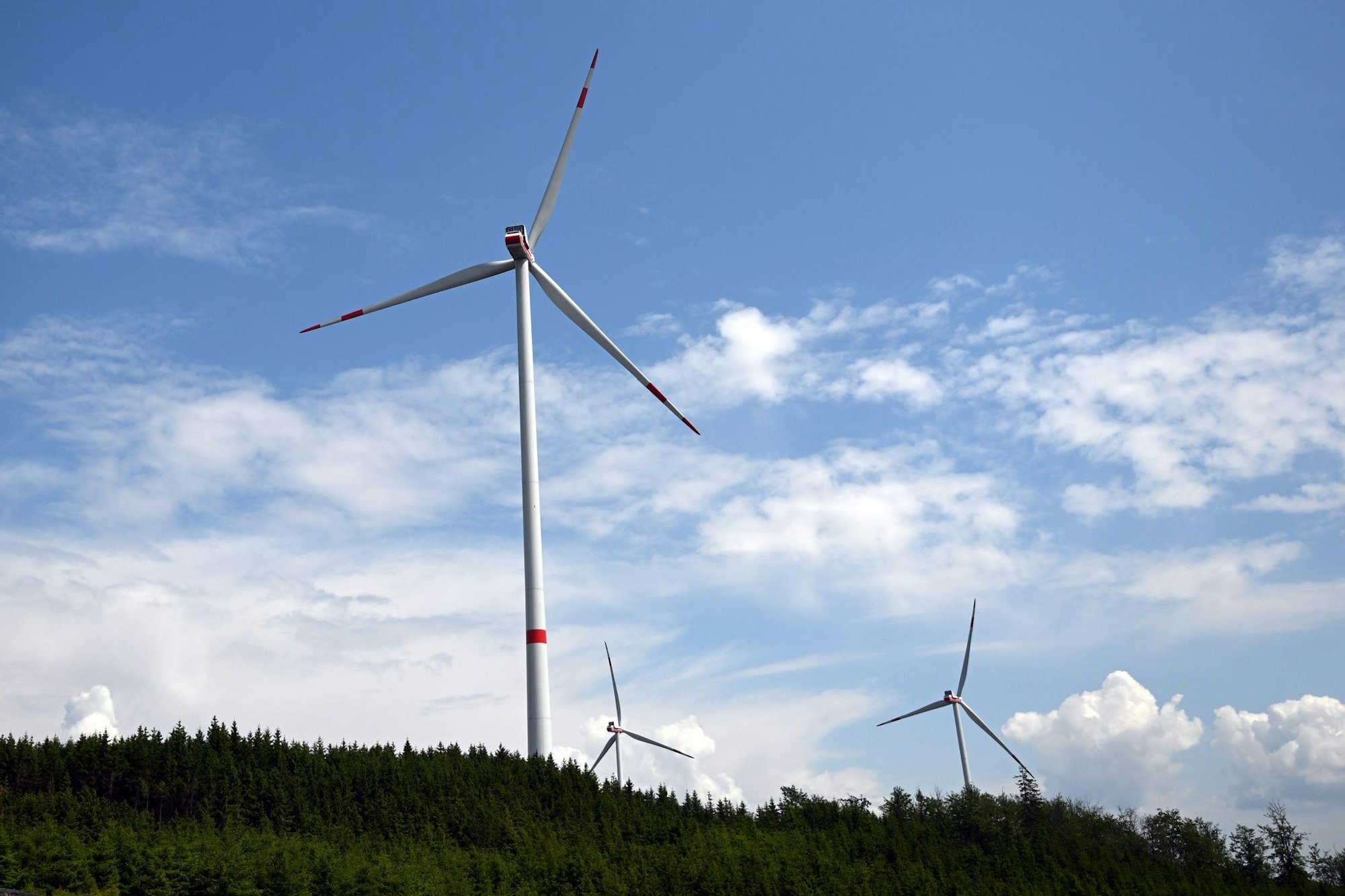 Das Ausbauziel bei der Windkraft wird in Nordrhein-Westfalen erreicht - aber auf Kosten der Natur, prognostiziert der Naturschutzbund Deutschland. (Archivbild)