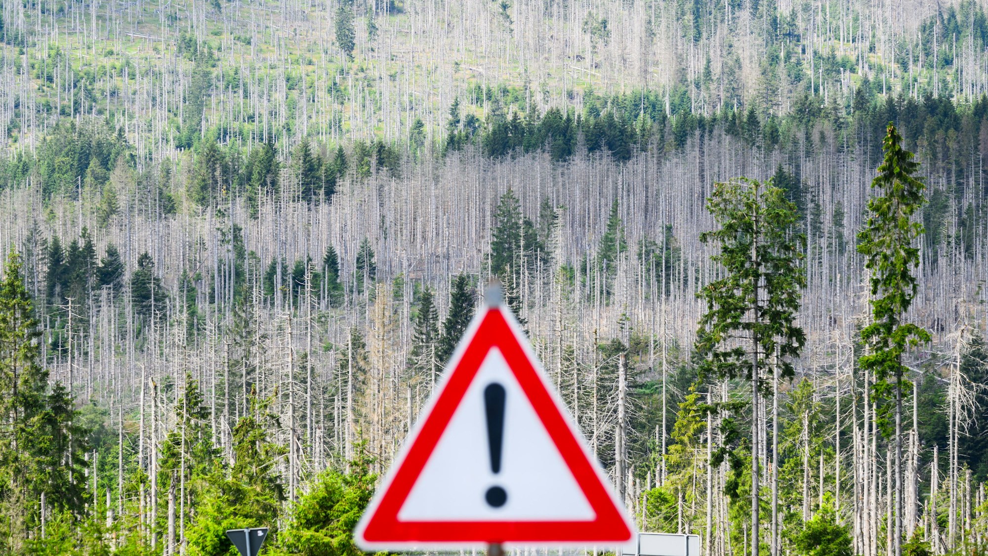 Eine Studie zur Wirtschaftsleistung und dem Klimawandel gerät ins Wanken. Forscher stellen einige Fehler fest.
