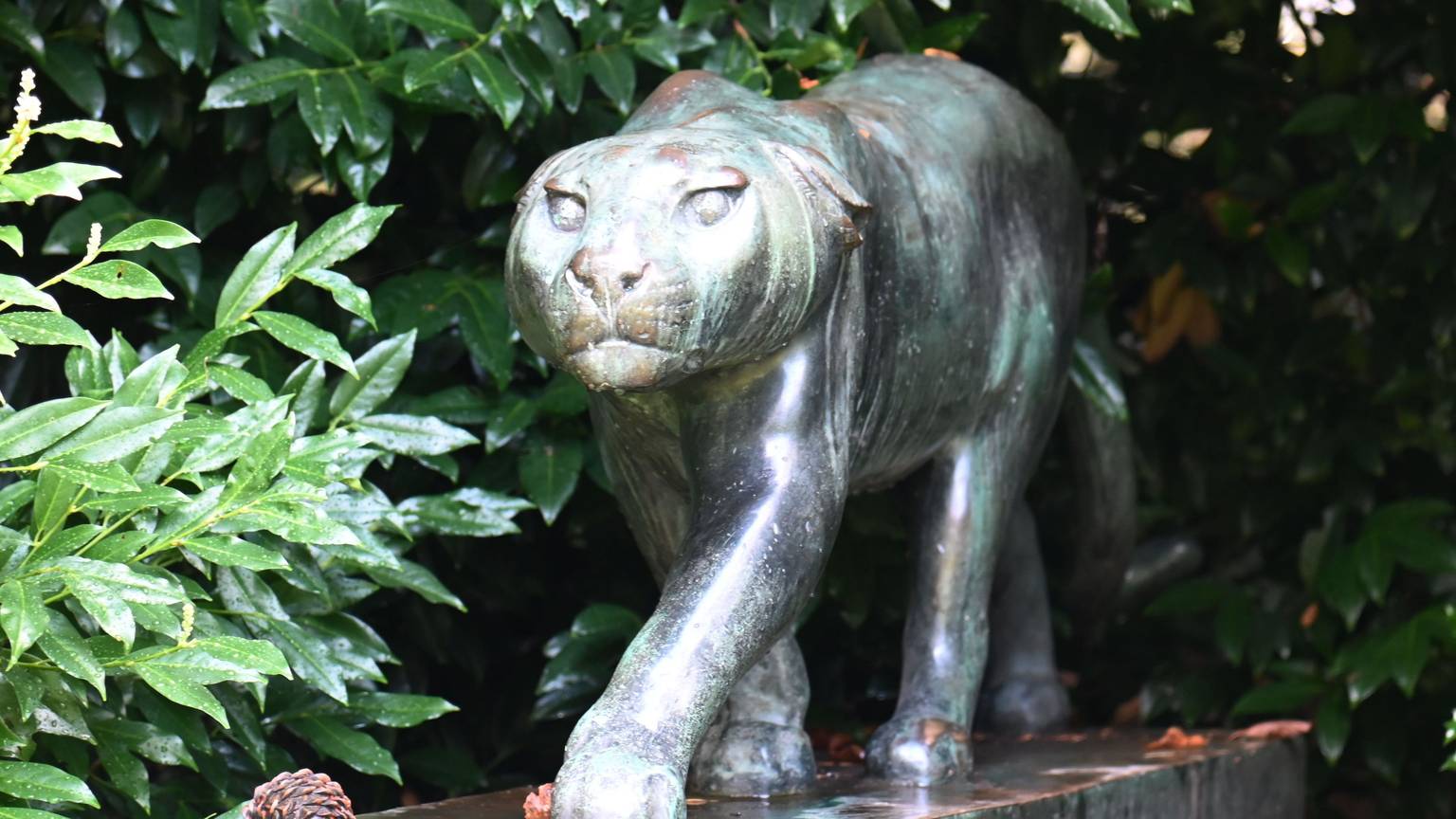 Die Bronzeplastik „Panther“ von Fritz Behn wurde vergangene Woche aus dem Südpark in Köln-Marienburg gestohlen.