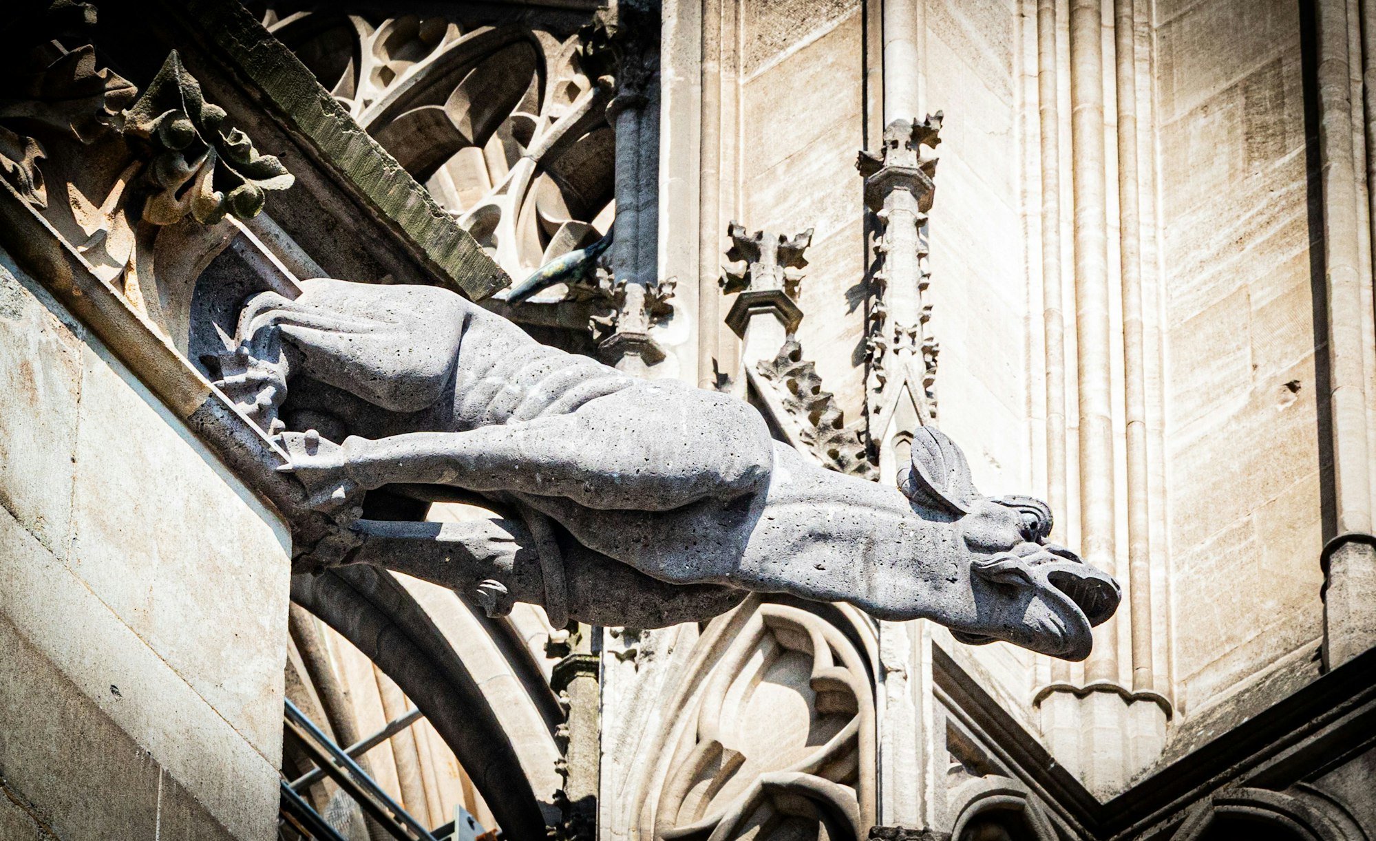 Der neue Wasserspeier am Kölner Dom