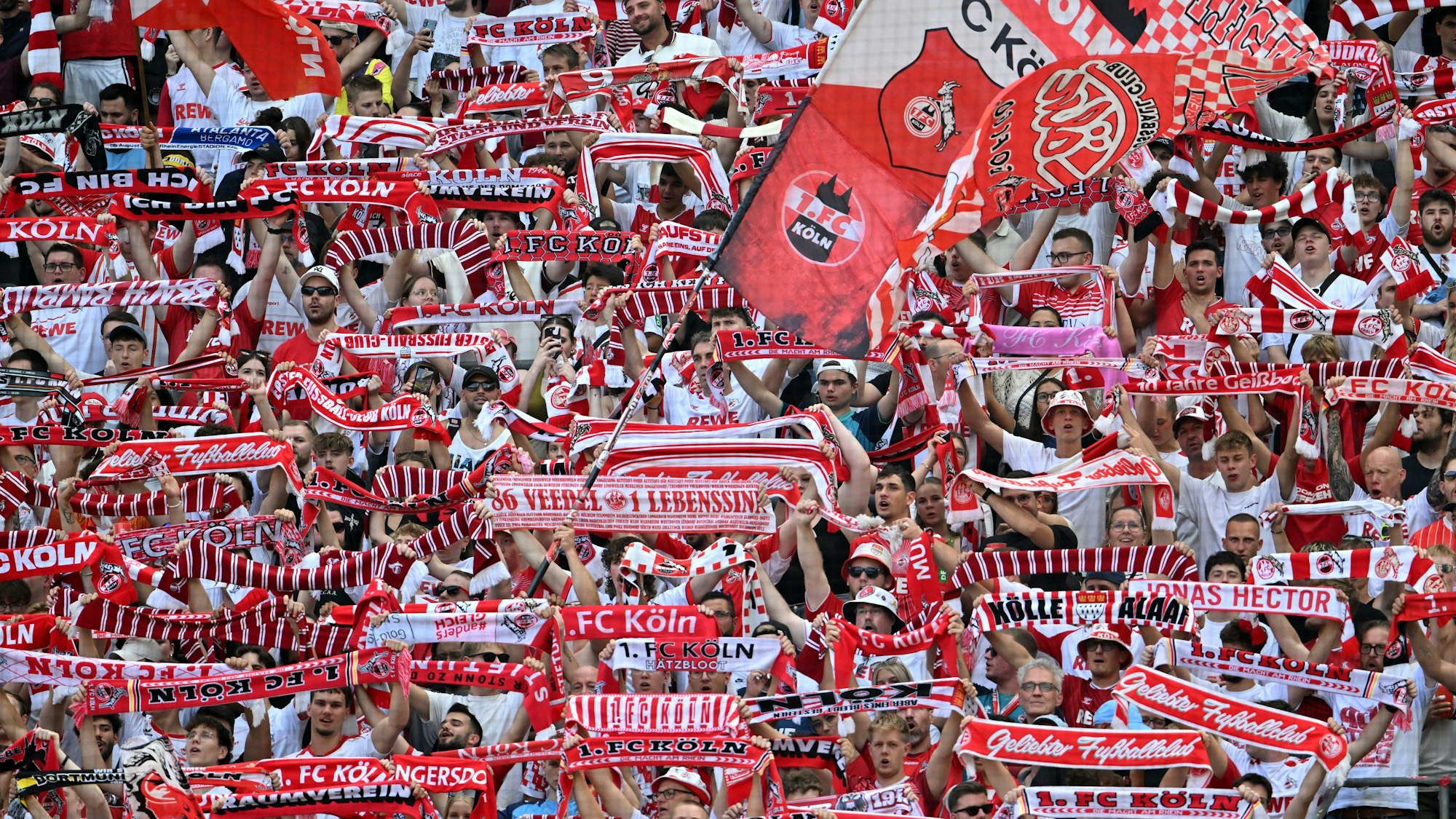 Sie sind an der Macht: Die Fans des 1. FC Köln