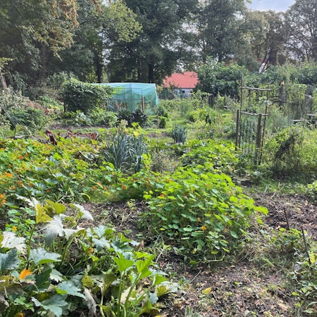 Auf der 2000 m² großen Parzelle kann jeder ein eigenes Stück bewirtschaften, es gibt aber auch gemeinschaftlich gepflegte Bereiche