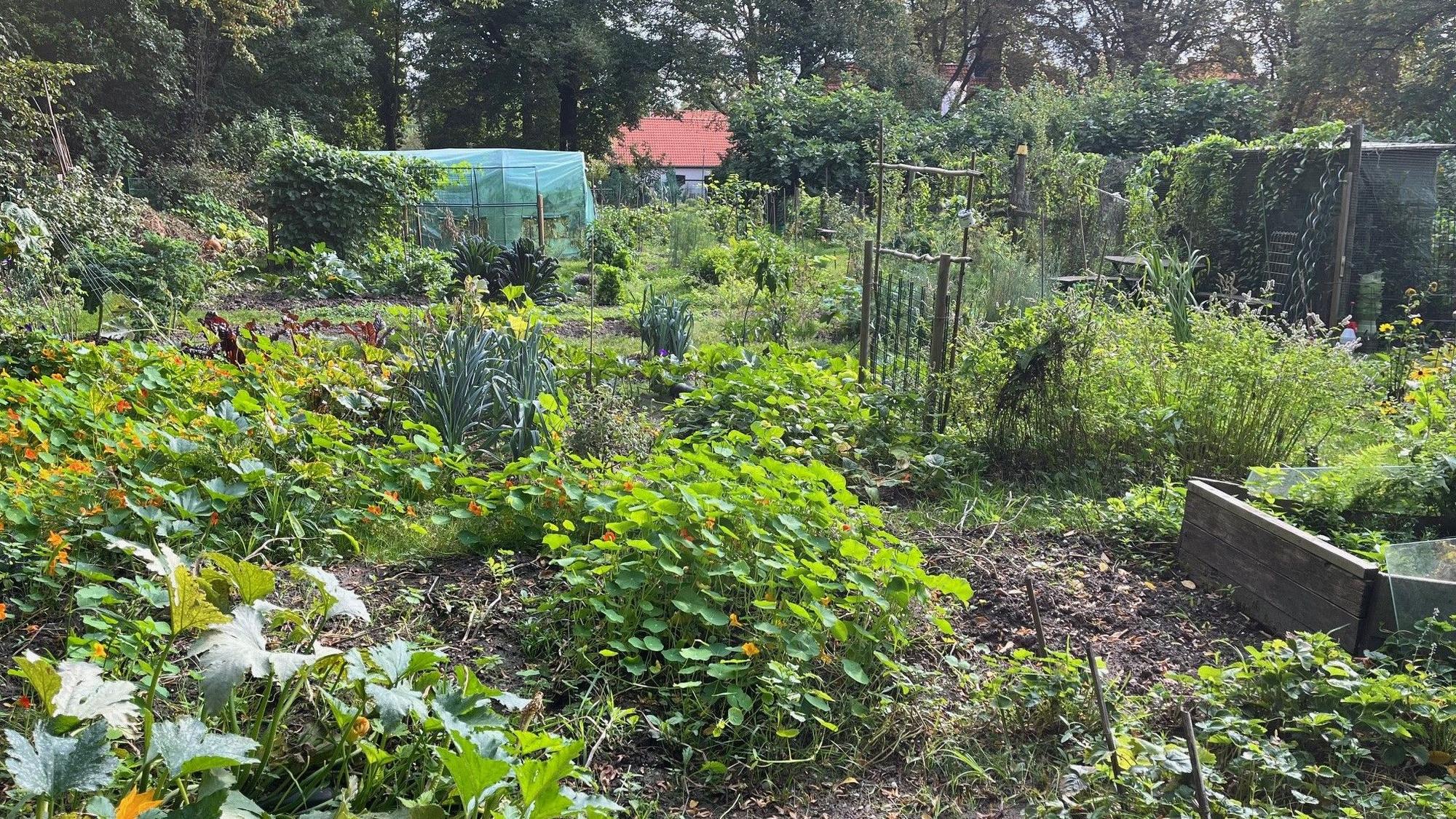 Auf der 2000 m² großen Parzelle kann jeder ein eigenes Stück bewirtschaften, es gibt aber auch gemeinschaftlich gepflegte Bereiche