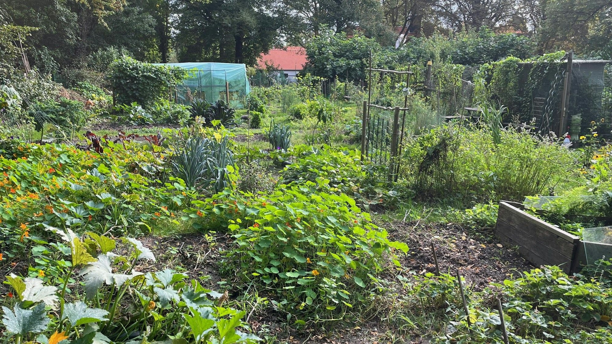 Auf der 2000 m² großen Parzelle kann jeder ein eigenes Stück bewirtschaften, es gibt aber auch gemeinschaftlich gepflegte Bereiche