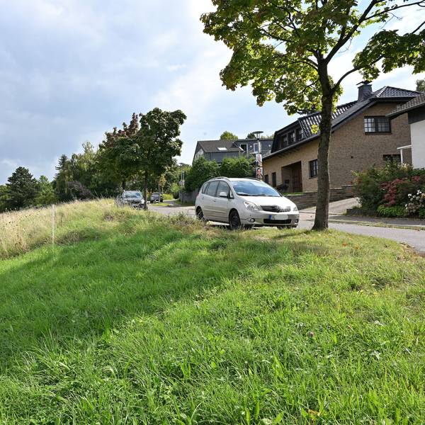 Das Foto zeigt eine Wiese am Ortsrand von Herkenrath