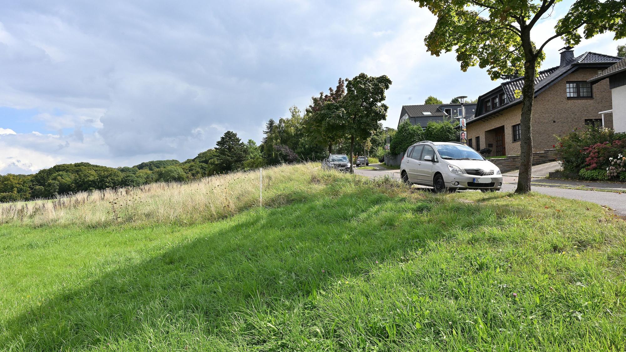 Das Foto zeigt eine Wiese am Ortsrand von Herkenrath