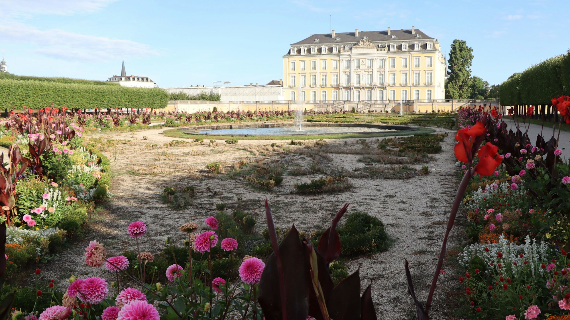 Auf dem Bild ist ein Teil eines großen Beetes vor Schloss Augustusburg zu sehen.
