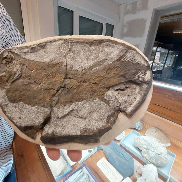 Aus der Grube Silberhardt in Windeck soll ein montanhistorisches Zentrum werden.