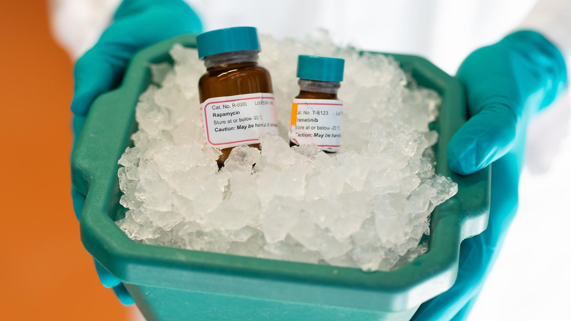 Die Wirkstoffe Rapamycin und Trametinib in zwei kleinen Flaschen, die einer Eiswanne liegen