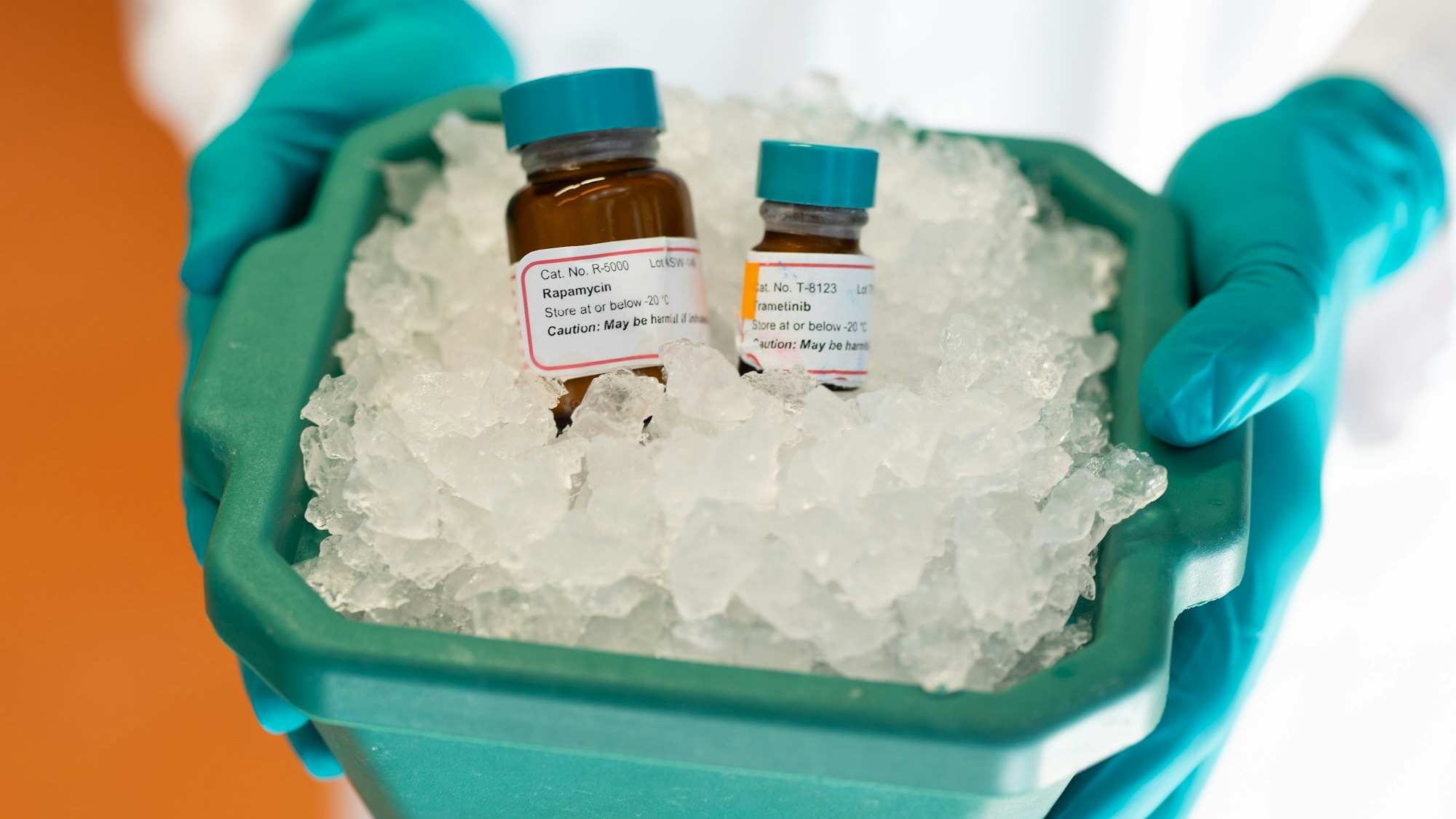 Die Wirkstoffe Rapamycin und Trametinib in zwei kleinen Flaschen, die einer Eiswanne liegen