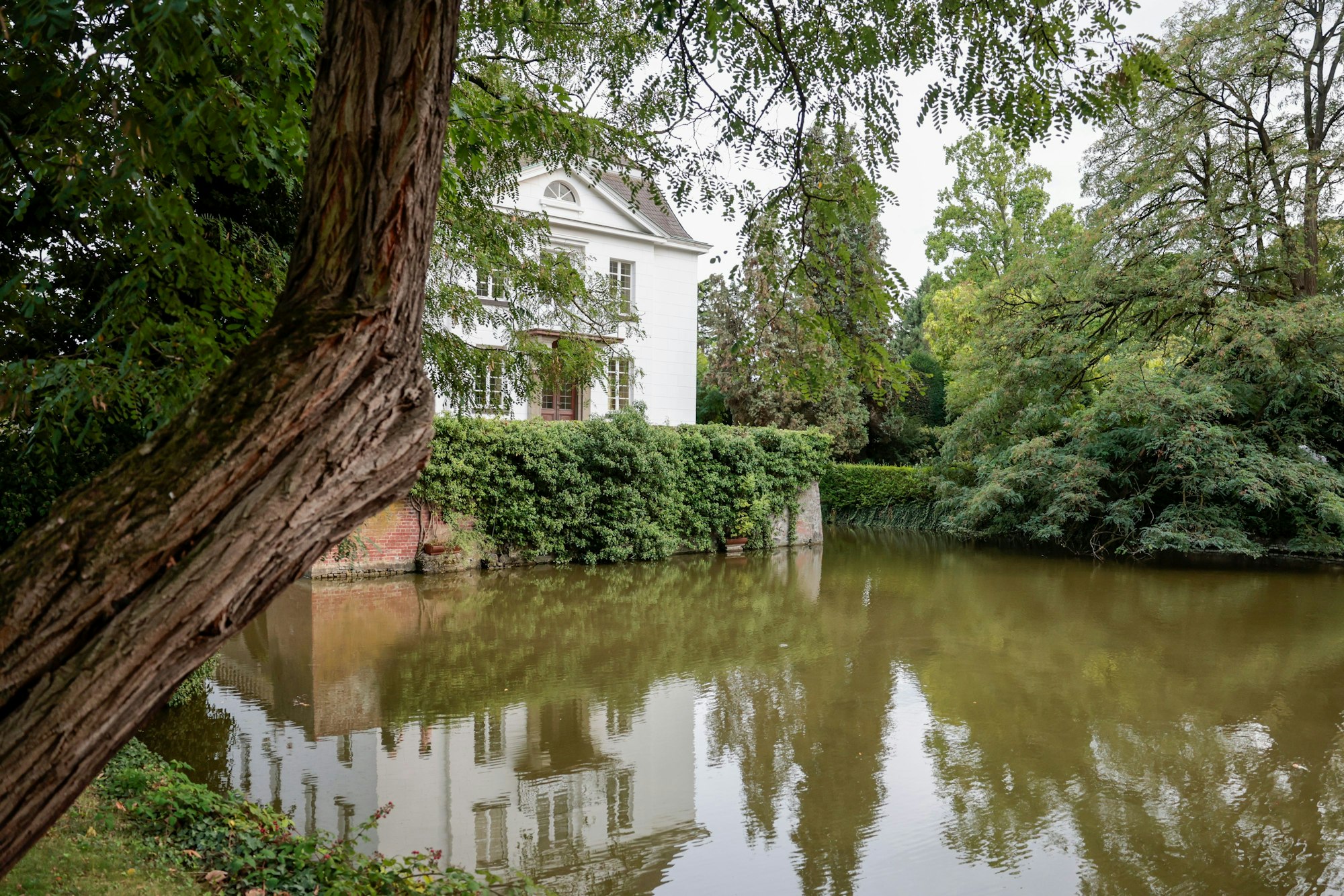 Verwunschen liegt das Weißhaus im Park in Köln-Sülz