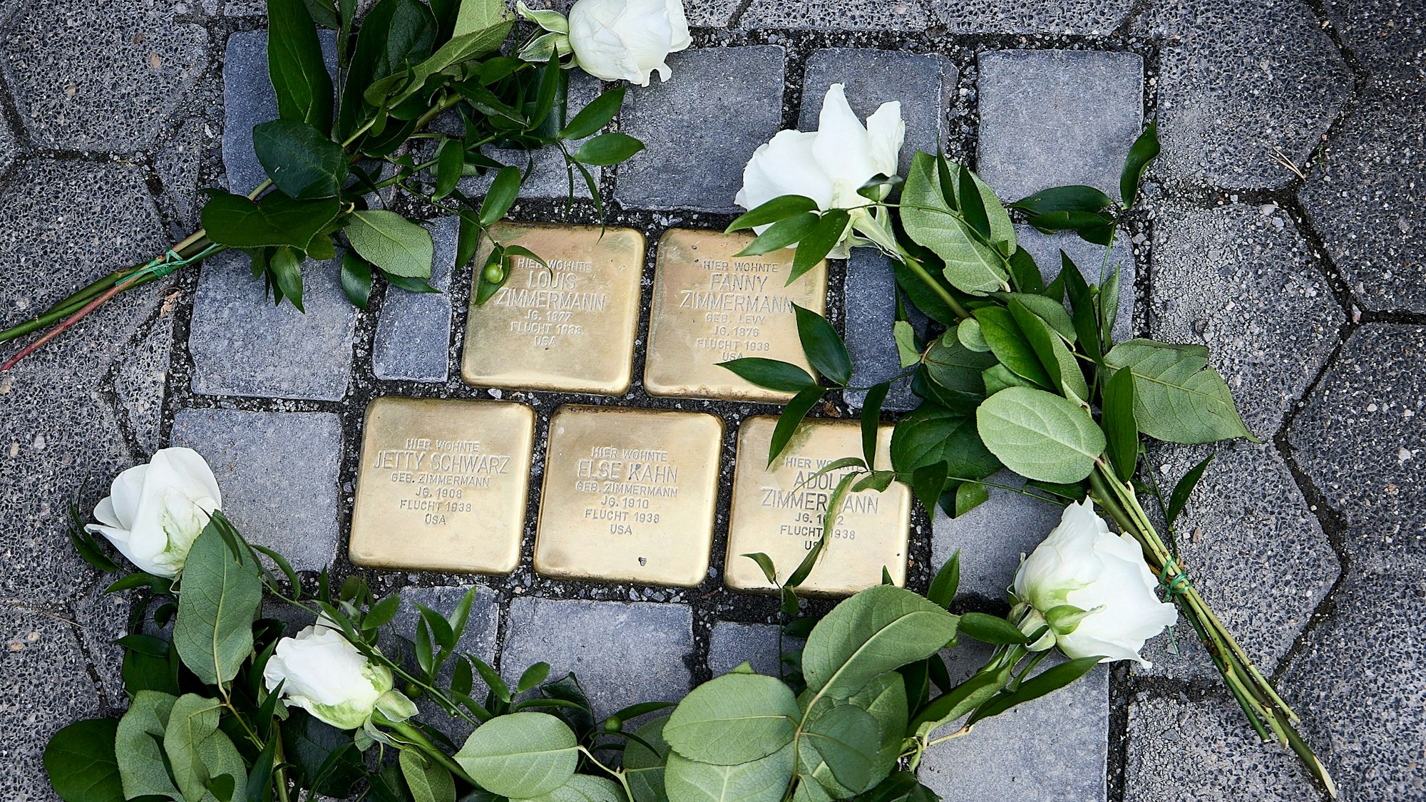 Das Bild zeigt fünf Pflastersteine aus Messing, auf denen Namen stehen. Drumherum liegen weiße Rosen.