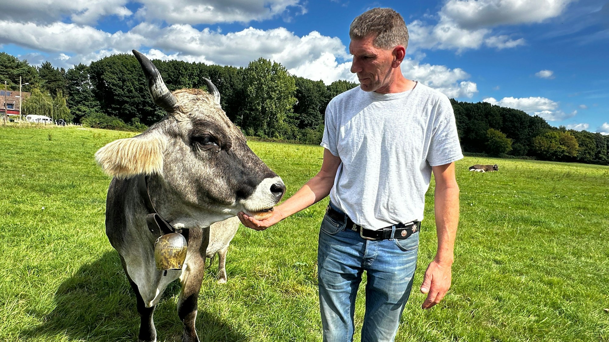Ein Mann streichelt eine braune Kuh unter dem Kinn.