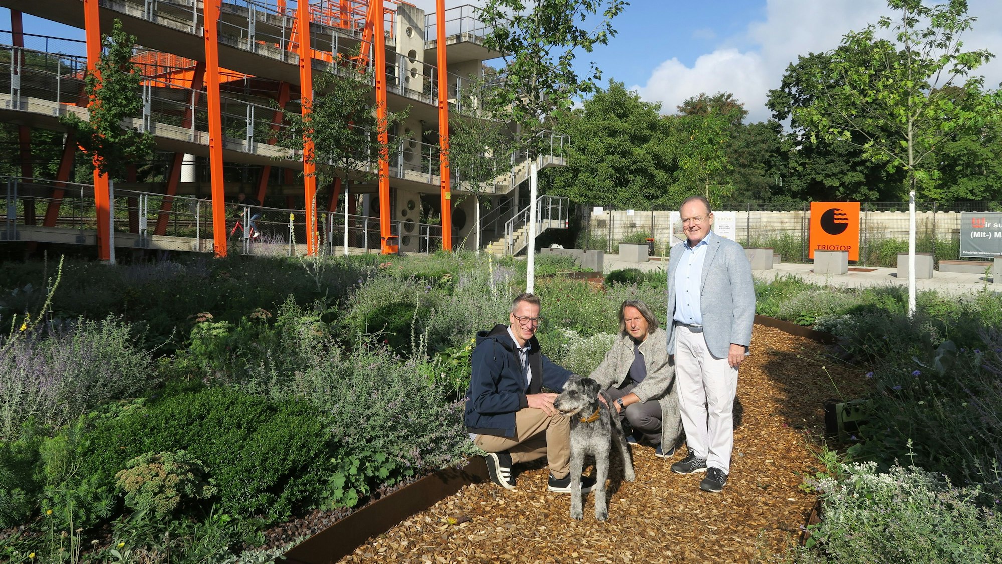 Drei Männer und ein Hund stehen inmitten des neu angelegten „Belvedere-Wäldchens“ in Vogelsang.