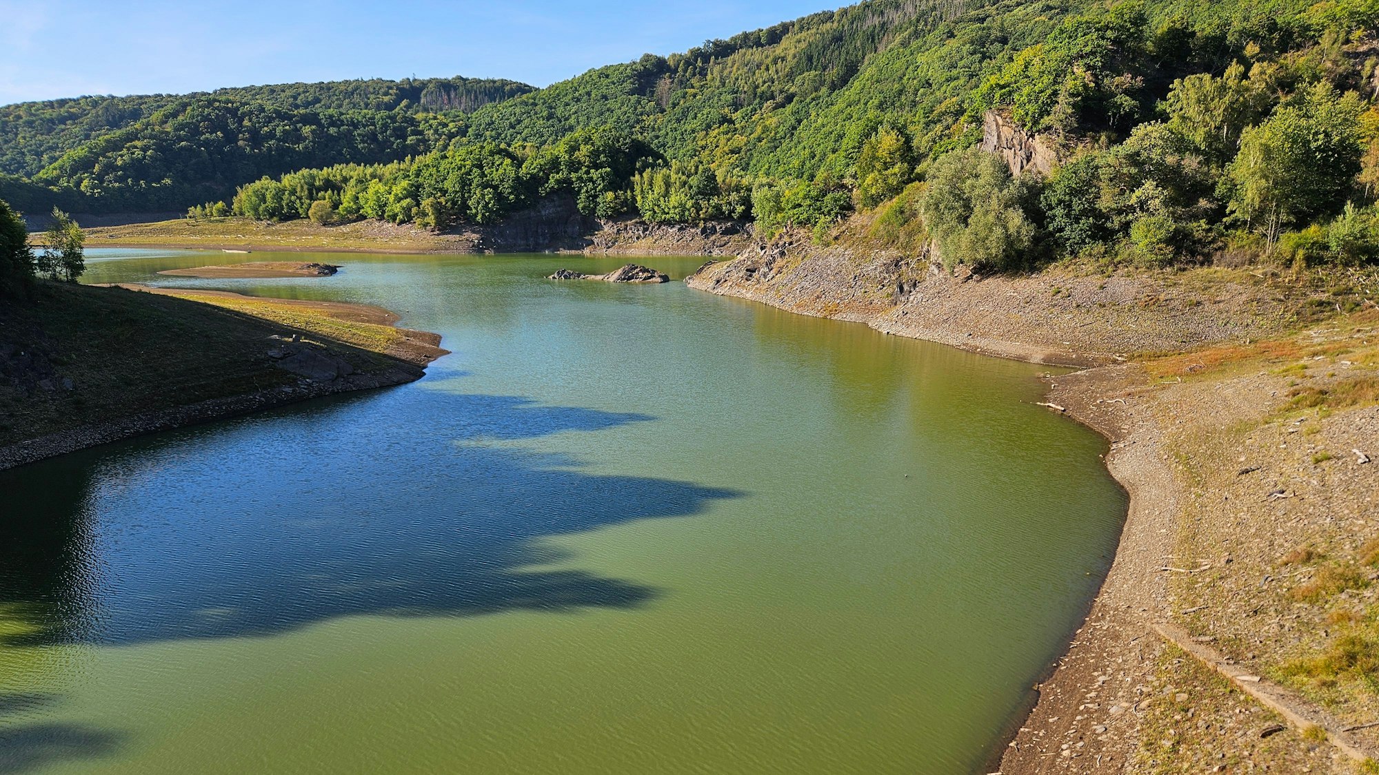 Blick auf den Urftsee mit seiner grünen Wasseroberfläche.