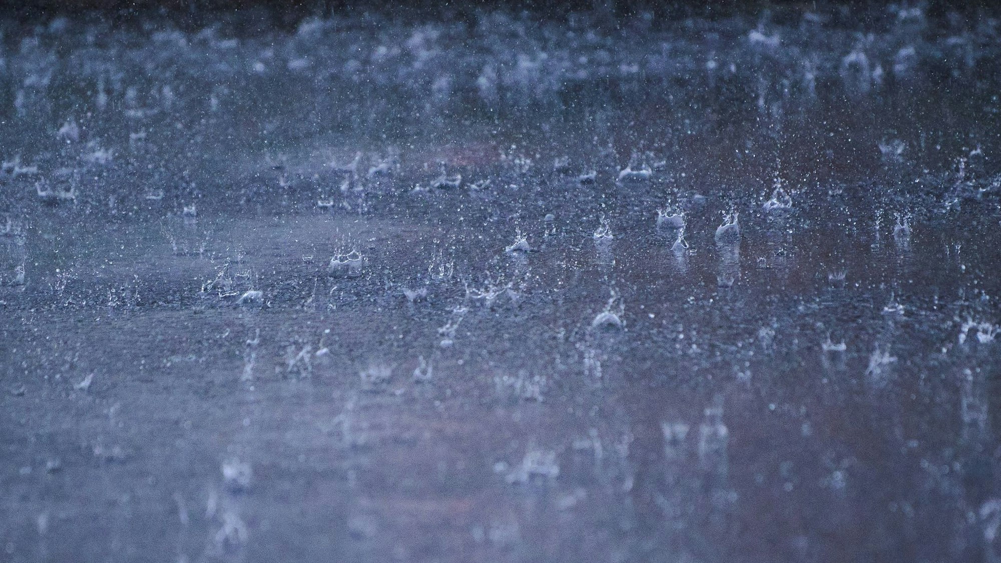 Starkregen bleibt leider manchmal nicht nur draußen, sondern richtet Schaden an Haus und Eigentum an. Gut, wenn man dann die richtige Versicherung hat.