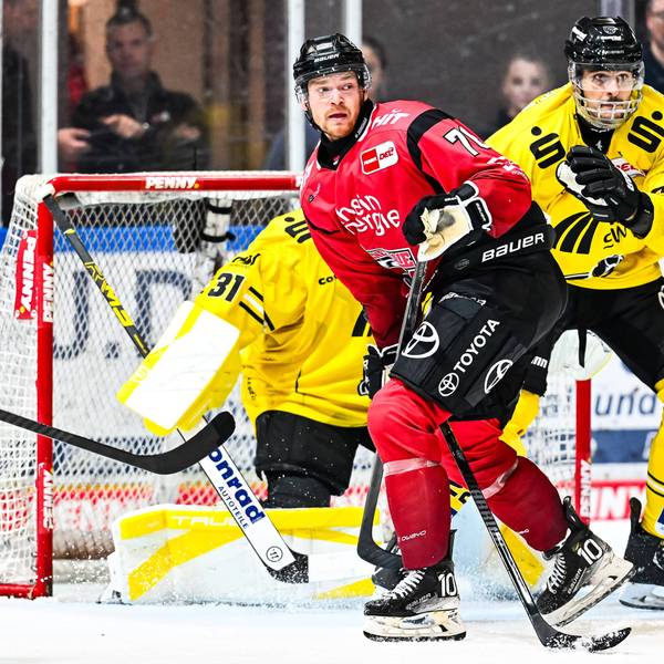 Einer von elf Neuen im Team der Kölner Haie: Der Kanadier Nate Schnarr (l.) soll die Flexibilität im Sturm erhöhen.