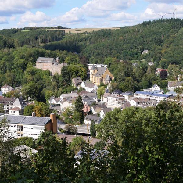 Blick auf Schleiden mit Schloss und Schlosskirche.