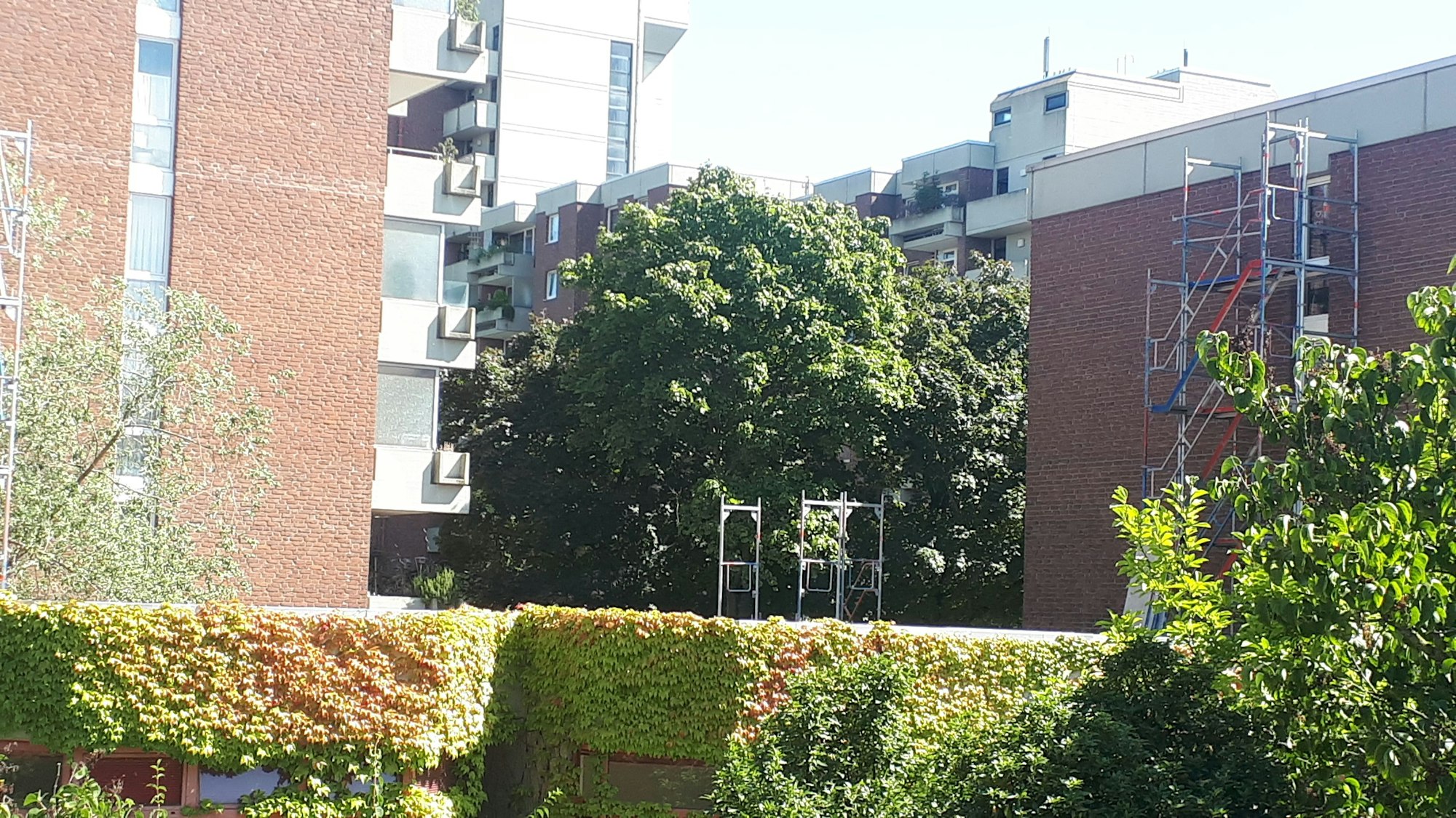 Mehrstöckige Wohnblocks stehen hinter einem zugerankten Bungalow.