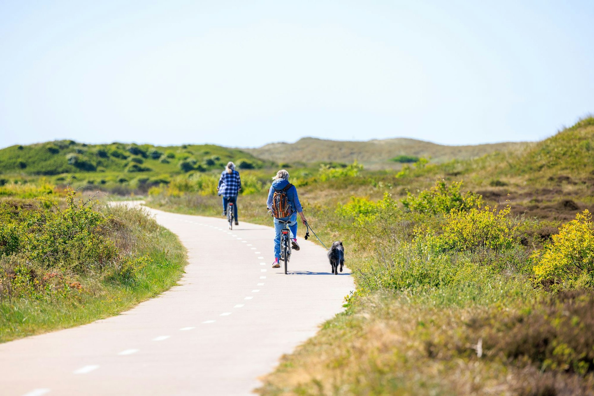 Durch Dünenlandschaft geht es, aber nicht nur auf den insgesamt 140 Kilometer an Radwegen.