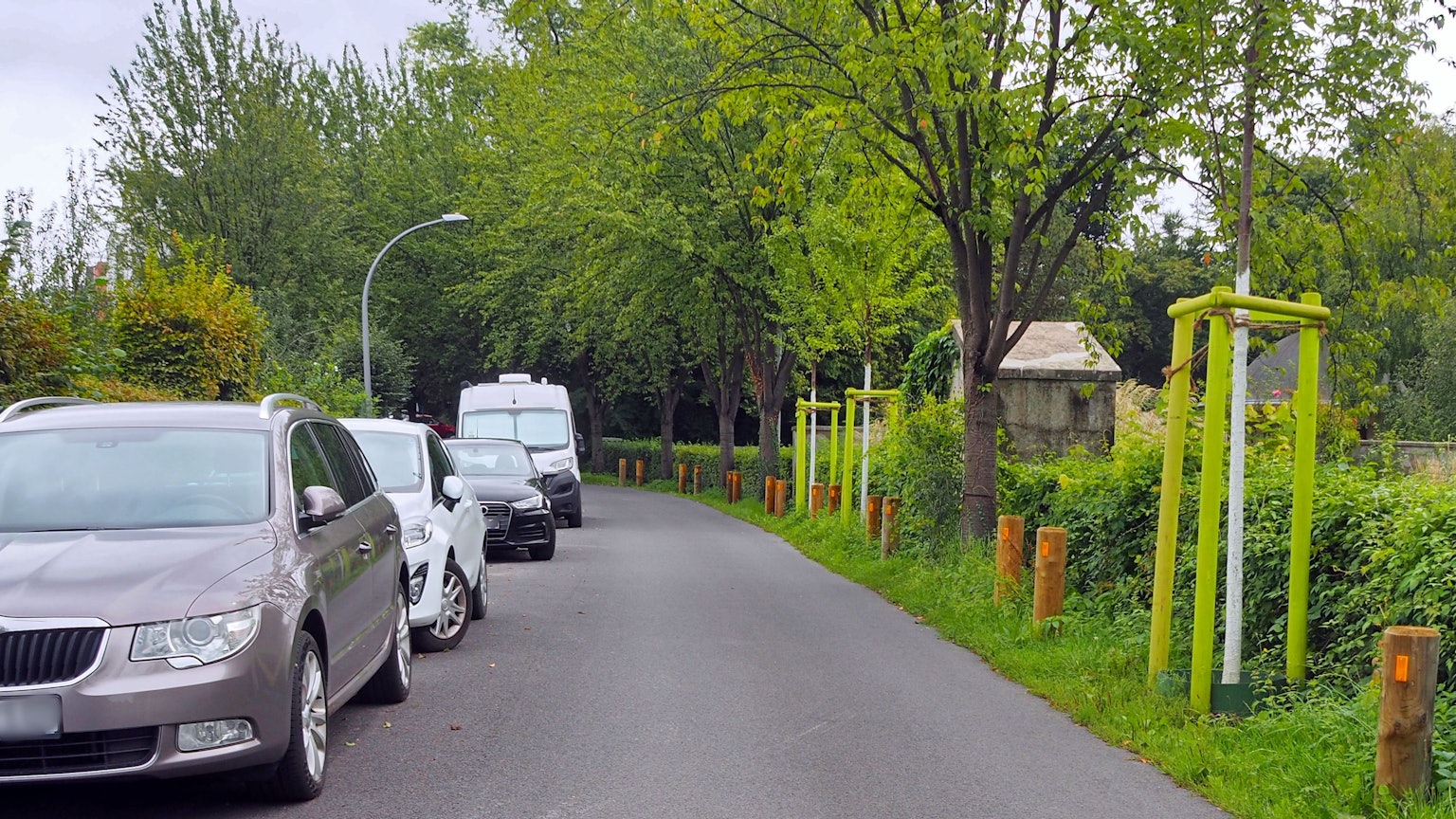 In der Sinziger Straße in Raderthal soll ein Ortstermin mit Bezirksvertretern und Fachverwaltung stattfinden, um zu schauen, wie die Bäume auf der schmalen Straße besser geschützt und wie sie für Schulkinder sicherer gemacht werden kann.