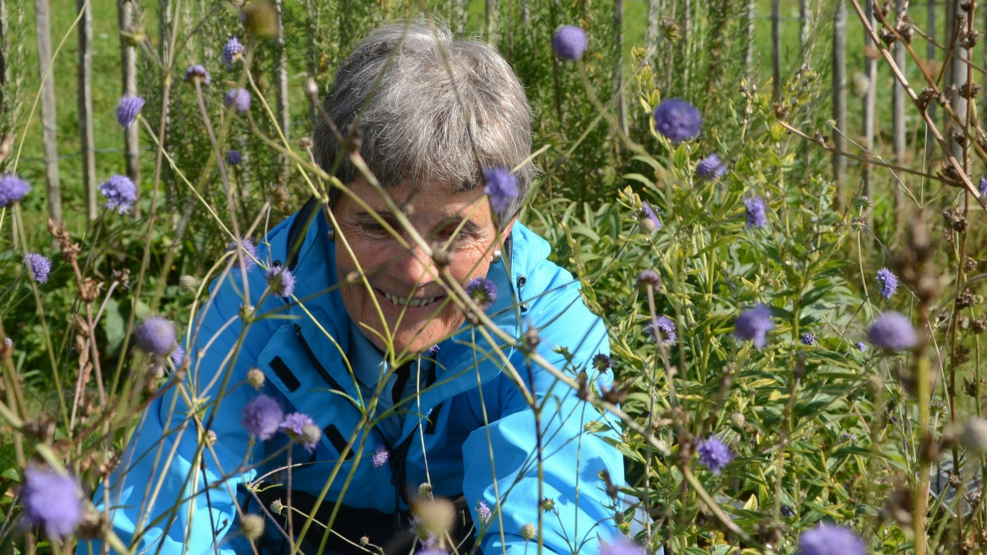 Eine Frau mit kurzen grauen Haaren arbeitet in einem Blumenbeet.