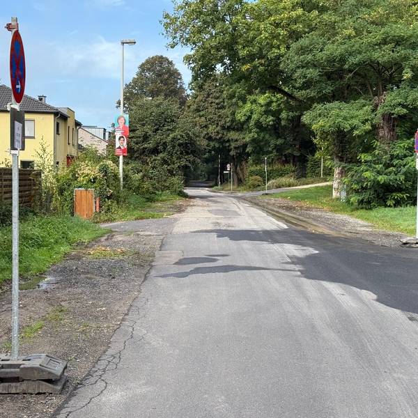 Auf dem Bild ist eine Straße mit Halteverbotsschildern zu sehen.
