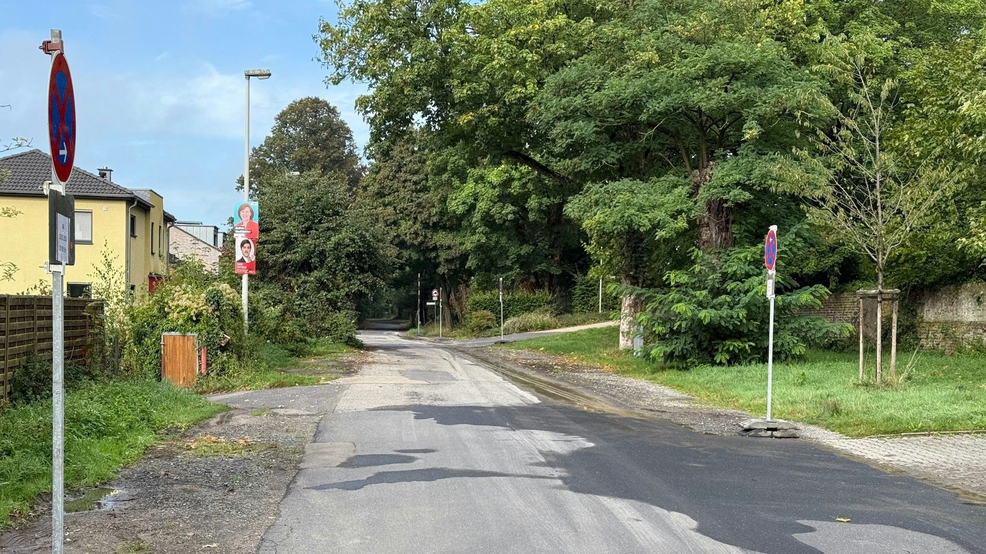 Auf dem Bild ist eine Straße mit Halteverbotsschildern zu sehen.