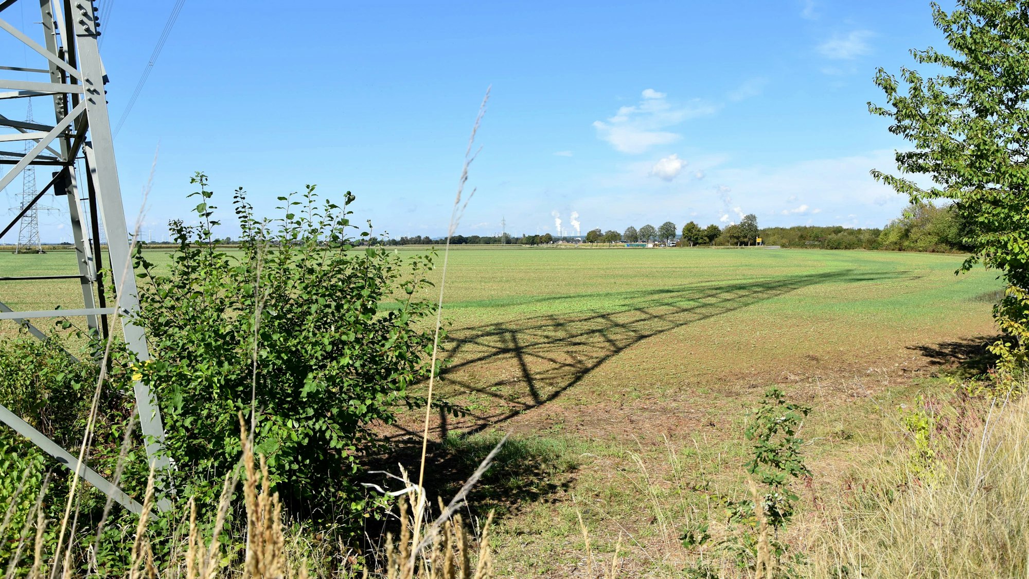 Das Bild zeigt ein Feld, ein Strommast wirft seinen Schatten darauf.