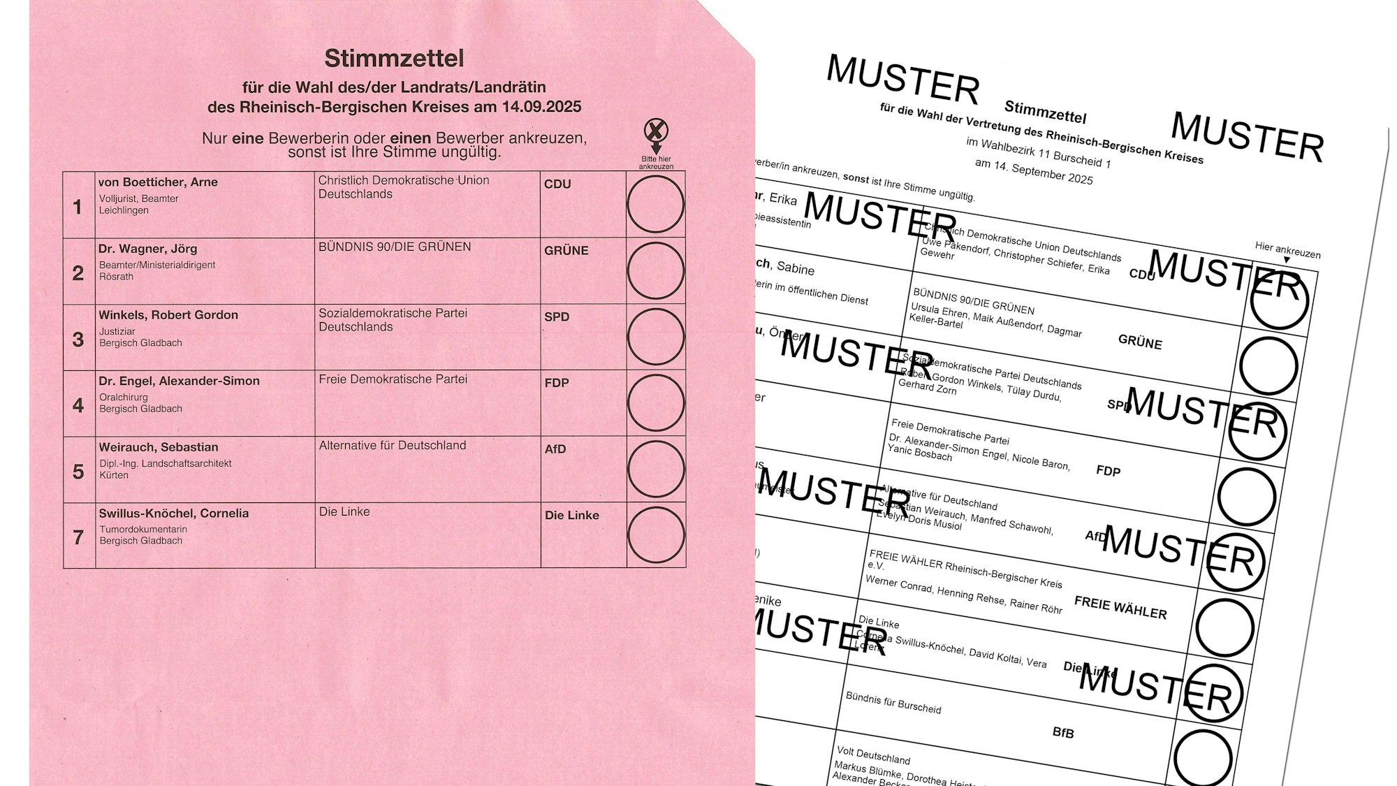 Montage von Wahlzetteln für Landrat und Kreistag in Rhein-Berg.