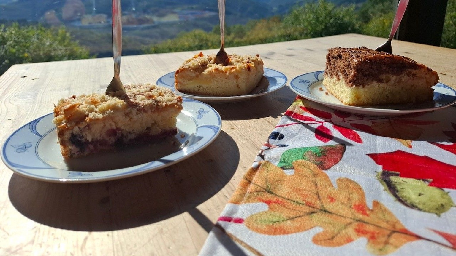 Von der Terrasse des Steinerberghauses genießt man zum Kuchen eine tolle Aussicht.
